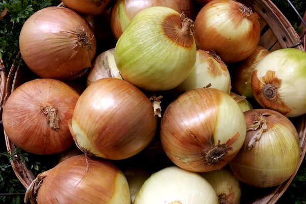 Https BlackSprutruzxpnew4af onion