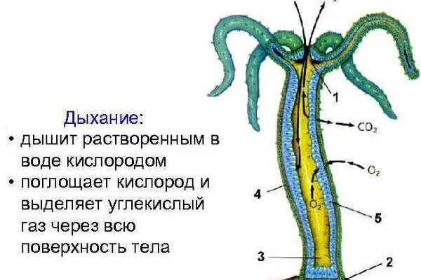 Через кракен