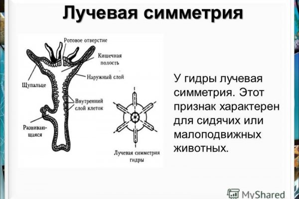 Кракен официальный сайт тор kra.mp