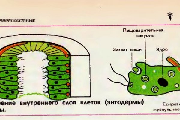 Как пополнить биткоин кошелек на меге