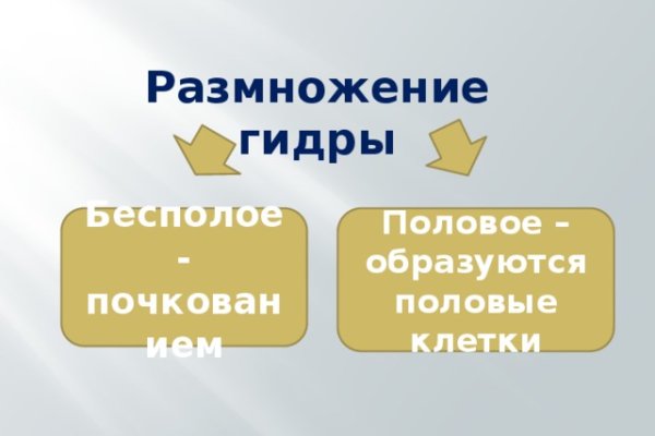 Megaruzxpnew4af union зеркала