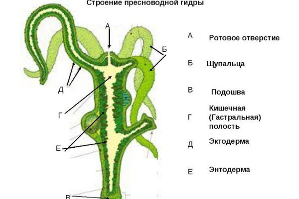 Порно цп даркнет