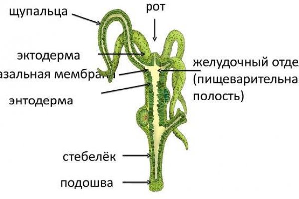 Не грузит фото на мегу